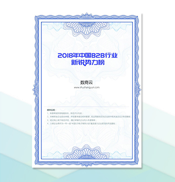 2018年中国B2B行业新锐势力榜